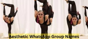 Aesthetic WhatsApp Group Names