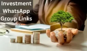 Investment WhatsApp Group Links